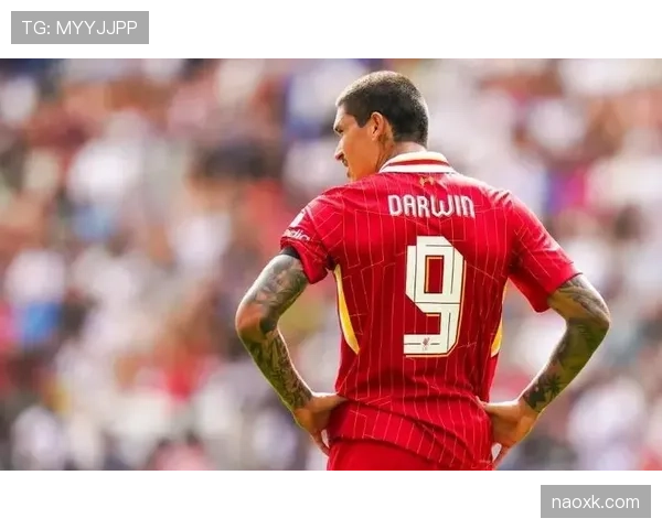 努涅斯被高估了吗？——利物浦引援成效与战术适配性深度解析