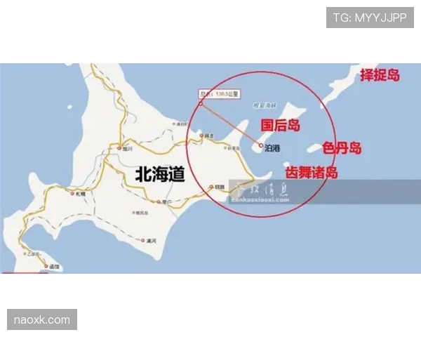 维蒂尼亚的进攻组织能力如何在体系中释放创造力？